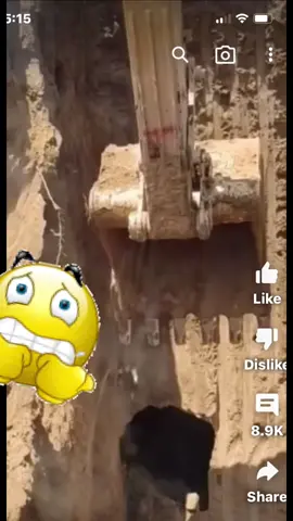 #euphratesriver #euphrates #bible #revelation #revelations #diamond_warriors_unite 