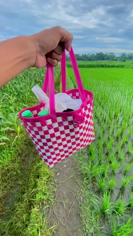sopo sing nk isuk sering kon ngirim nk sawah karo buk e🤣 #fypシ #petanimuda #sawah #kediri 