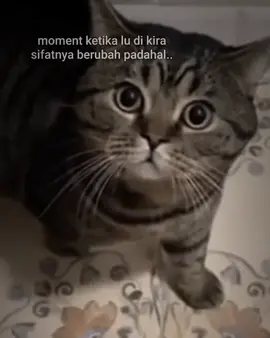 itu part yang terbaik darimu! #xybca 