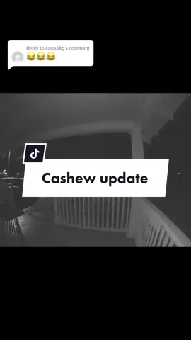 Replying to @coco38g He didn’t like them 🤣 #abbyisa4letterword 