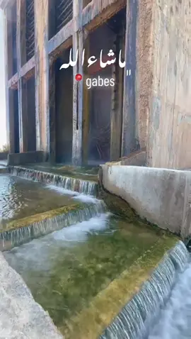 ﮼#الخبايات__الحامة__قابس ‌🇹🇳 #gabes #tourism #decouverte #ماشاءالله_تبارك_الله #photography #تونس🇹🇳 #beautiful #cometotunisia #lovetunisia #flypシ 