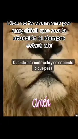 #wold #diosesamordeverdad 