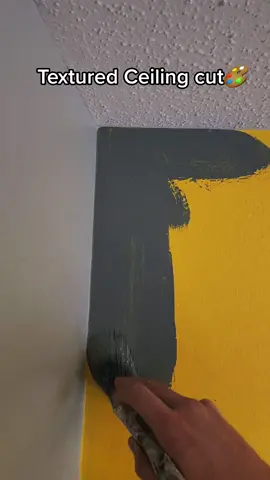 Painting against Textured Ceiling 🎨#alecpaints 