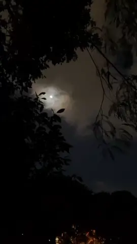 YA MUHAMMAD MUSTAFA S.A.W.W❤️❤️🌸😇 #foryoupageofficiall #status #fypシ #islamicvideo  #qamaroon #yanabisalamalaika #jummamubarak #unknownsoul_official #unfreezemyacount #fypシ #foryoupage #Allah #islamicstatus 