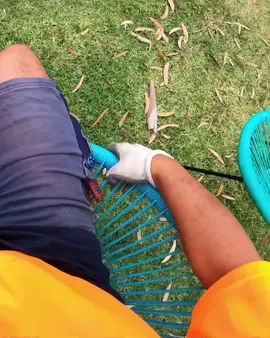 Lounging on the job. #polyprophet #youtube #free #treasurehunt #hardrubbish #australia #curbside #sidehustle #dumpsterdiving #streetscrapping #scrapping 