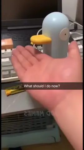 #memes #funnyvideos #foryou 