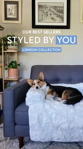 Enjoy mid-century modern style at its most affordable, beautiful and versatile with our London collection. From solid construction, to streamlined tailoring, to durable upholstery, every detail reflects meticulous craftsmanship, exceptional quality and outstanding value. Check out some of our favorite moments of this best-seller, styled by you! How would you style yours? ✨ #midcentury #modern #london #styledbyyou 