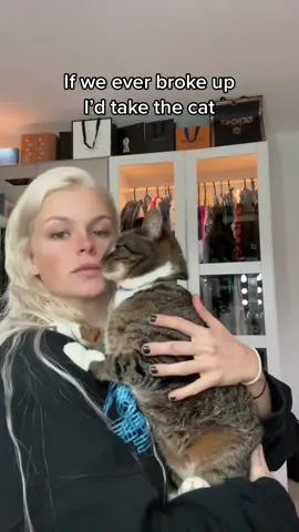 And he knows #ifweeverbrokeup #cat #random #fy 