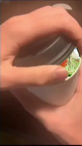 These Nico Robin and Nami pics just hit different for me.. Can’t stop spamming them🙃 #onepiece #mugiwara  #NicoRobin #Nami #onepiececosplay #nicorobincosplay 