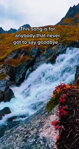 #sad #goodbye #feelingsad #heartbroken #restinparadise #ripbrother🕊️👼#fy #foryou #fyp #fy 