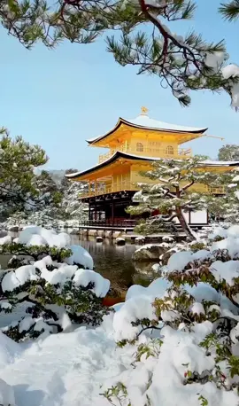Winter in Kyoto #kyoto #winter #japan #niceplace #goodplace #snow 