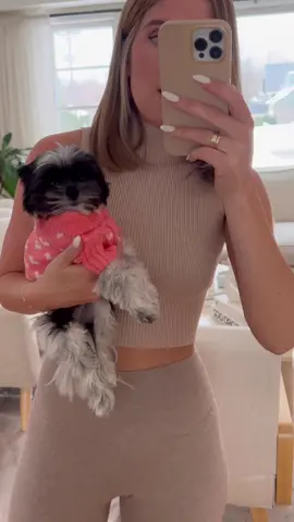 His face at the end 🤣 #dogtok #puppy #smalldog #smalldogsoftiktok #tinydog #dogsoftiktok #dogmom 