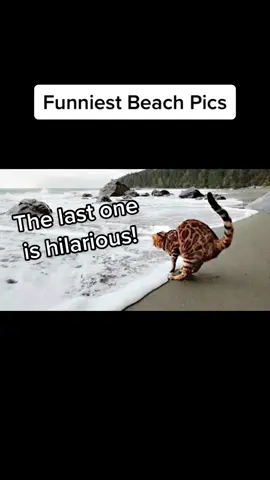 Funny beach pics. Which one is your favorite? #beach #humor #beachvibes #sandaid 