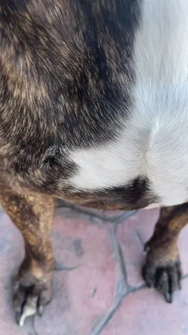 Hungry?