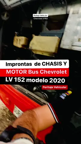 😎 👉 a improntas de Chasis y Motor #bus @chevrolet #lv152  🚨 Inspección pericial a vehículo automotor involucrado en #accidentedetránsito  #perito #peritocriminal #peritocolombia #peritoenautomotores #peritojudicial #peritos #AprendeEnTikTok #parati 