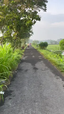 Suasana pagi hari di pedesaan #fyp #desa #pemandangan 