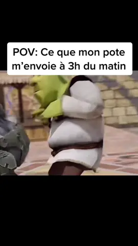 Mettez d’autres POV dans les commentaires 😂😂😂 #fypシ #shrek #pourtoi #drole #notorious17 
