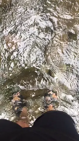 Puntahan mo yong bagay na gusto mo, hindi yong gusto mo kasi gusto nila. #fyp #taonggala #outsiderbicol #nature #naturetrip #ilog #ilogtrip #trending #solo #kapayapaan #chill 