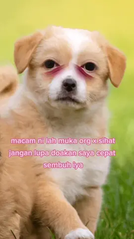 #fouyoupage #tiktoksabah #GIowUP #TikTokGuru 