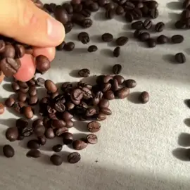 Bạn yêu thích Gel rửa mặt cà phê Đắk Lắk vì điều gì? #cocoonvietnam #vegan 