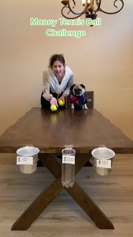 Money Tennis Ball Challenge #familygames 
