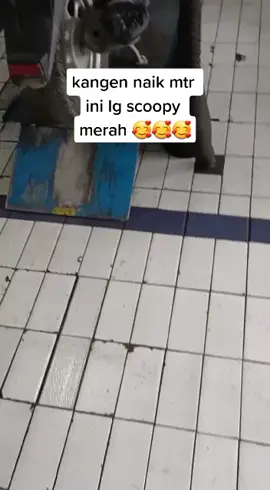#scoopy merah nya lg ke bengkel dia lg sakit@Iwan Iwan 