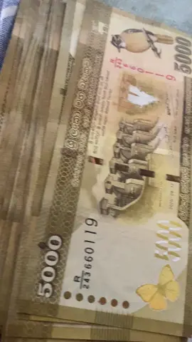 Money ❤️‍🔥.                                              #fypシ #foryou #srilanka #trending  #viral #kandy #luxury 