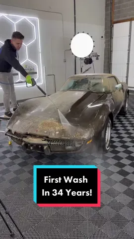 First Wash in 34 Years! #wddetailing #detailing #CleanTok #carcleaning #asmr #cardetailing #satisfyingvideos #pressurewashing #fyp #satisfying #oddlysatisfying #barnfind #rare #carwash #corvette 
