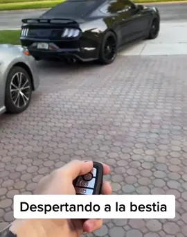 Y también despertando a los vecinos porque son las 7:30a.m. jajaj #mustang #mustanggt #ford #fordmustang #fordmustanggt #straightpipe #escapedirecto #v8 #v8power #v8sound #usa #musclecar #unitedstates 