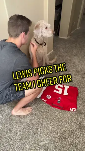 Let’s see how this ages! 🏈#chiefs #eagles #SuperBowl 