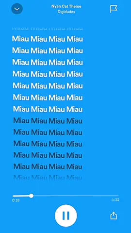 #miau #nyancat #pourtoi #speedup 