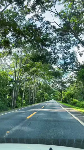 Terapia en el camino 🥹#benibolivia #caminoshermosos #paisaje #momentos #parati #parati #fiiiiiiiiiiiiiiiiiiiiiiiiiiiiiiiiiiiiip #foryoupage #viral 