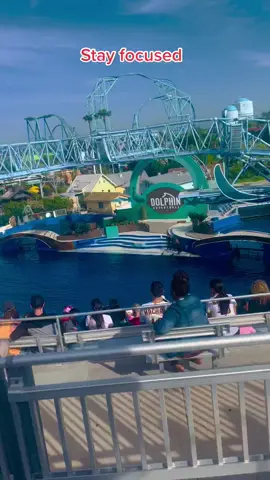#seaworldsandiego #goviraltiktok #ghanatiktok🇬🇭 #fyppppppppppppppppppppppp #ewetiktokers #nigeriantiktok 
