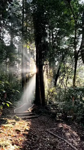 見てきた景色を忘れる前に... #日本の風景 #japan #teamrt001 
