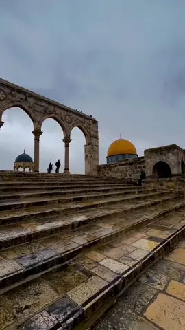 #المسجد_الاقصى #الاقصى #لايك❤️ #احلى #تعليق تثبيت احلا تعليق للاقصى🖤