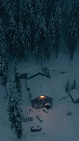 That snow always changed the beauty of nature, Such a Beautiful mercy🩶 #snow ##snowfalling #4kvideo #foryou #relaxingvideos #video #wallpapervideo #hd #viral #8kvideo #cenamatic #streedout #dronevideo #tiktok #ralxingvideos #fyp #fypシ #fypシ゚viral #fyppppp #trending #like #comment #follow 