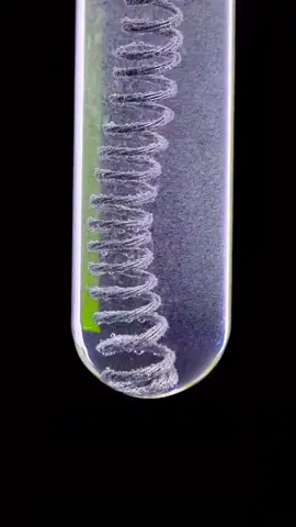 Thí nghiệm hoá học: Fe + HCl #hoahoc #hoccungtiktok 