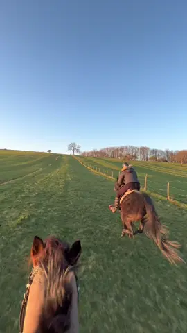 #bestfellling #coucherdesoleil #sunset #equestrian #horseriding #safeplace #liberty #horsesoftiktok #cheval #run #galop #Love #foryou #pourtoi 