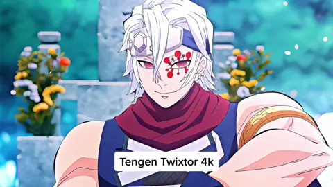 Tengen Twixtor 4k