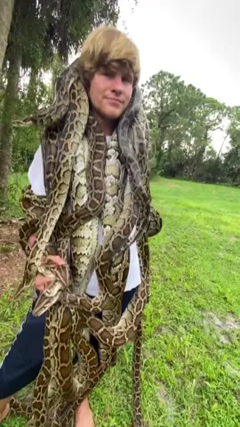 Florida is the best ##snake#foryou#everglades#fyp#wildlife#foryourpage#wildlife#lizard#reptile#viral#florida