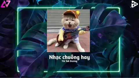 Nhạc chuông độc lạ #nhacchuongiphone #chomeohat 