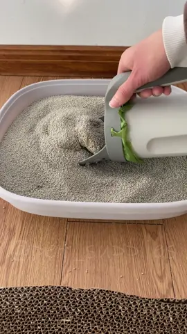 Tiktok made me buy it👀. Does your cat have this much rubbish too?🐱🤣😂#fyp #cat #catlovers #catsoftiktok #catvideo #petsupplies #us #uk 