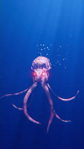 Fight For Food : Giant octopus |  #Kraken #deepsea #octopus