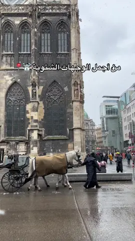 فيينا تعتبر من الوجهات الشتوية الحلوه والاحلى اذا صادف وقت جيتك وقت نزول الثلج❄️☃️🤩  ‏#fyp #explore #vienna  #viral #فيينا #النمسا 
