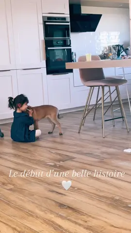 #chiotmalinois #malinois #pourtoi #amour #enfant #kids 