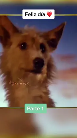 Amistad y amor #emotivo #motivo #amistad #animalesfantasticos #krimacr_ 