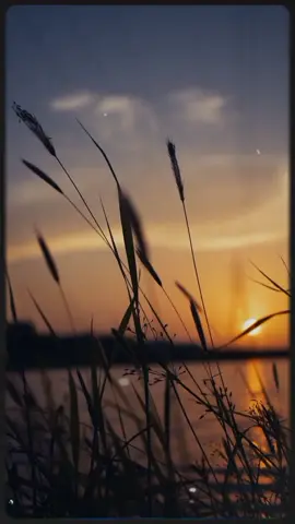 Buat kalian yg ekonomi nya sedang di uji, Semangat yah 💪🥰 #doa #bumil #tentangbumil #bumilbahagia #fyp #fypシ #ABCKreasiKrezi