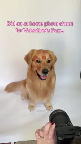 The last photo is literally this emoji…😆 #fyp #foryoupage #dogsoftiktok 