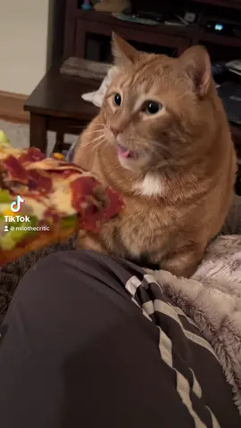Papa Murphys pt 2. Also kinda doubled the gag! 😆#catvideos #catsoftiktok #fyp #foryou #foryoupage #funnycat #gaggingcat #dinnertime #papamurphys #pizza #ValentinesDay