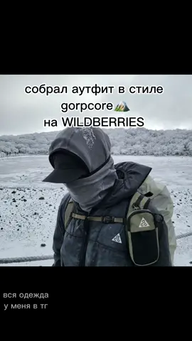 вся одежда в моем тг, ссылка в профиле #одежда #gorpcore #wildberries #горпкор #одеждасwildberries 